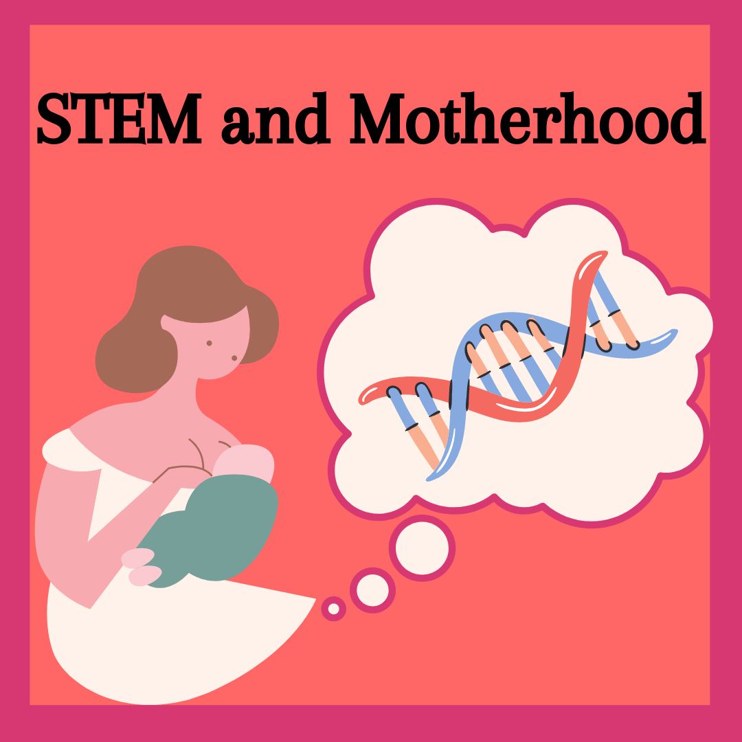 STEM and motherhood